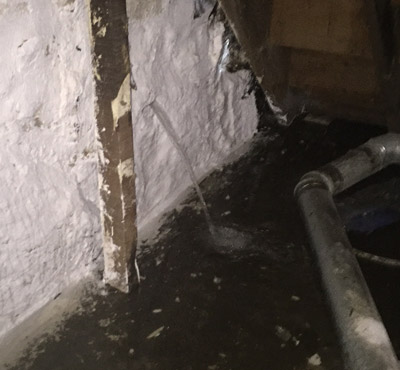 A1 Foundation Basement Waterproofing - Boston, Dedham,MA