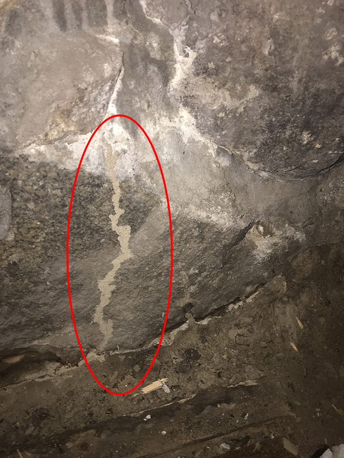 A1 Foundation Crack Repair - Termite tunnel  on stone foundation